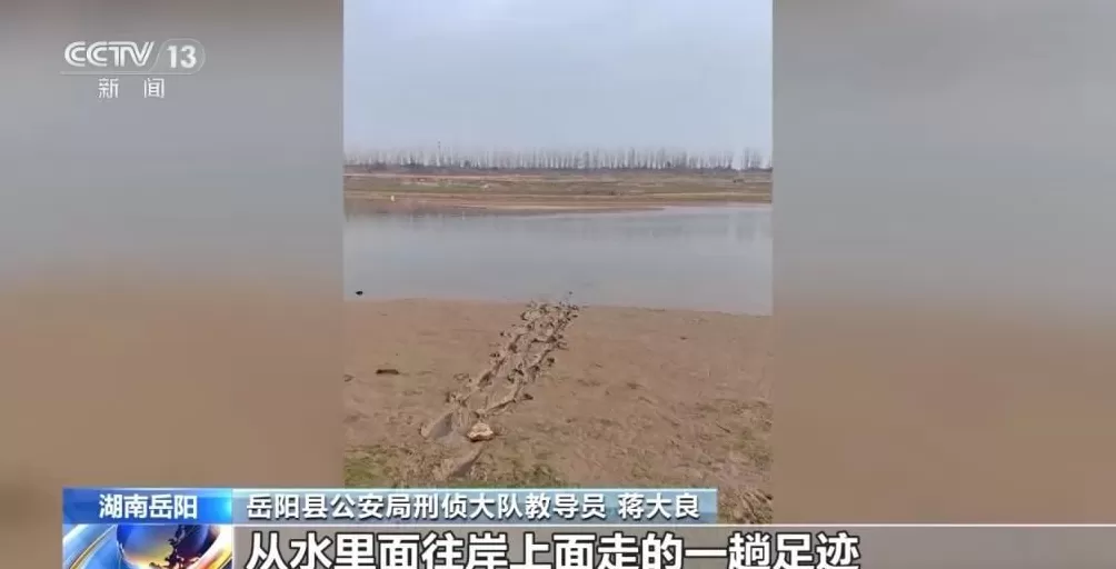 男子盗走300万黄金，被抓后拒不吐露藏匿地点，警方凭狗叫声找到线索-第24张图片-