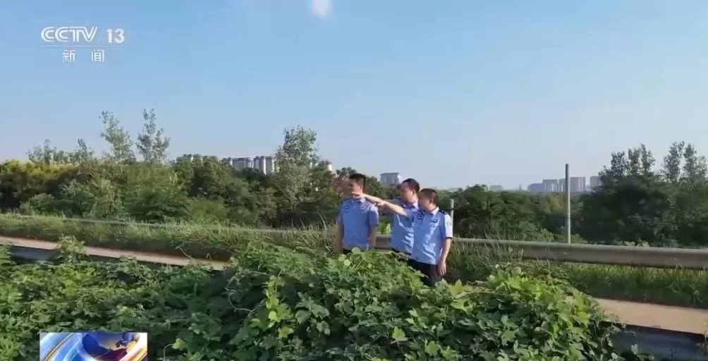 男子盗走300万黄金，被抓后拒不吐露藏匿地点，警方凭狗叫声找到线索-第27张图片-