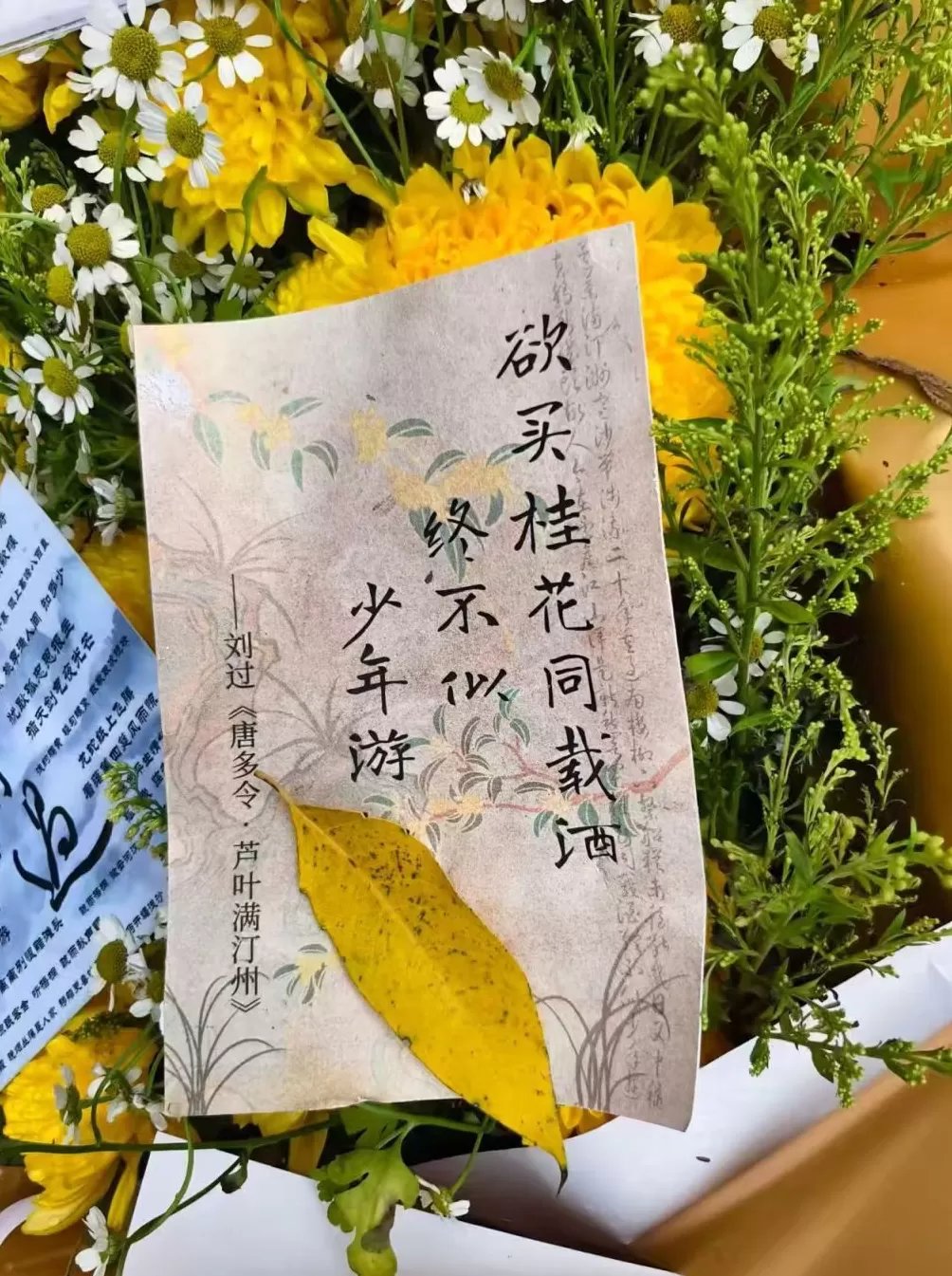 夜读｜桂花年年开，少年今何在-第2张图片-