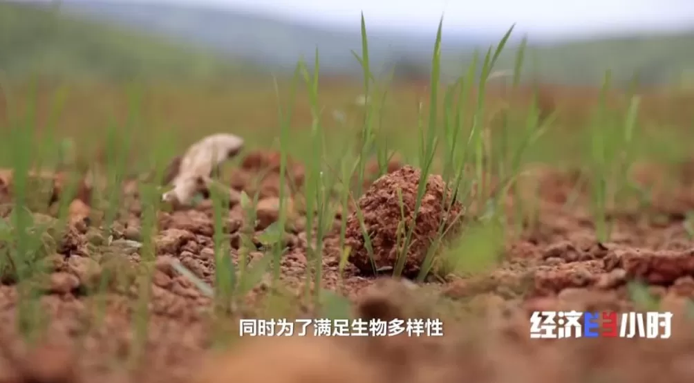 中国智造“上新”投资规模稳居全球第三-第15张图片-