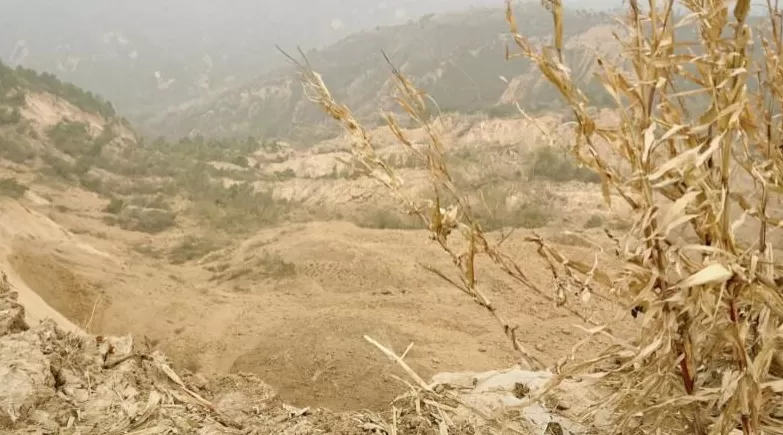 消失在玉米地里的母亲-第2张图片-