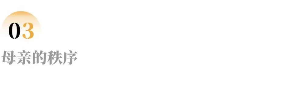 消失在玉米地里的母亲-第5张图片-