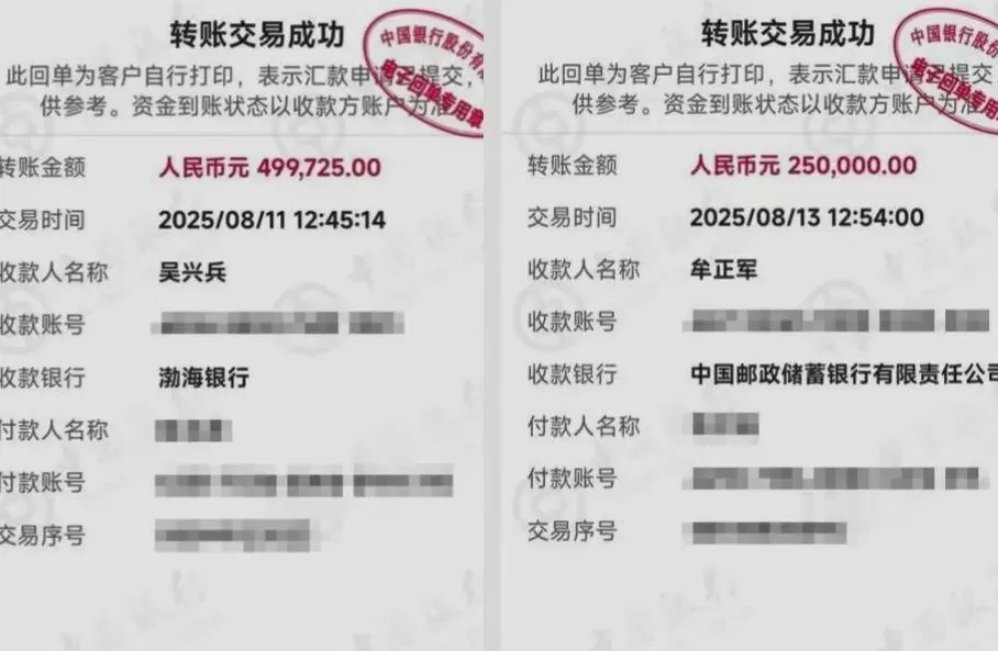 “技术男”设三重安全墙，母亲95万存款还是被骗走了-第2张图片-