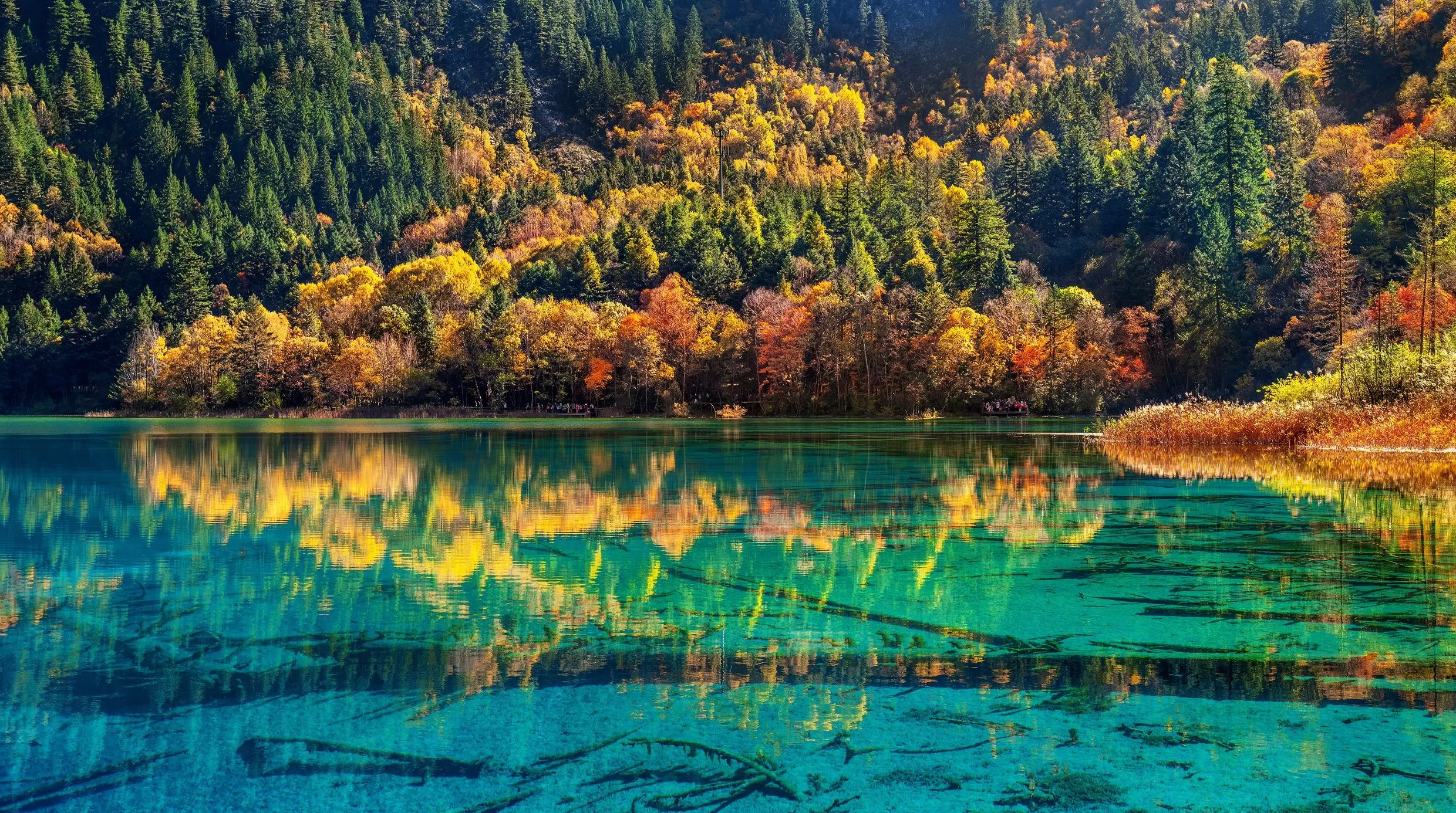 “旅行经济上行期的美”，源于消费体验的重构  | 2025界面旅行向往指南系列②-第6张图片-
