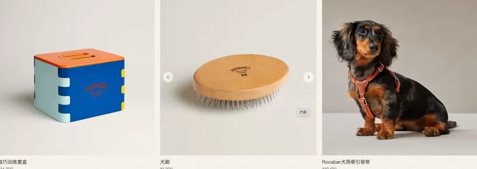 爱马仕新上架2万元不锈钢狗碗，客服：只剩少量库存-第2张图片-