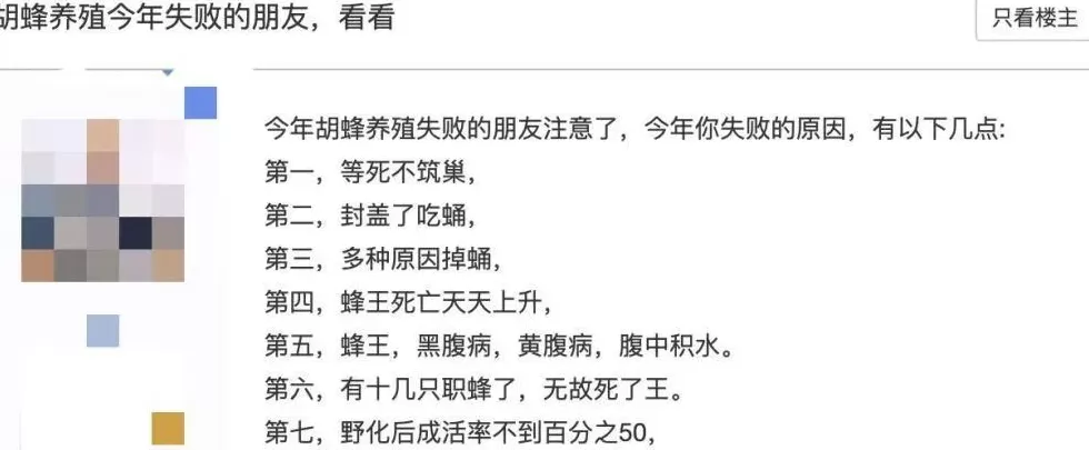 “成本500售价5000”！“蜂拥而上”的虎头蜂产业，是商机还是骗局-第15张图片-