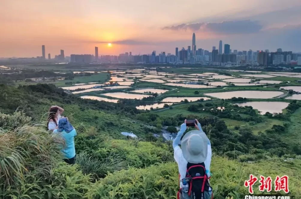 “数”解香港北部财富密码-第2张图片-