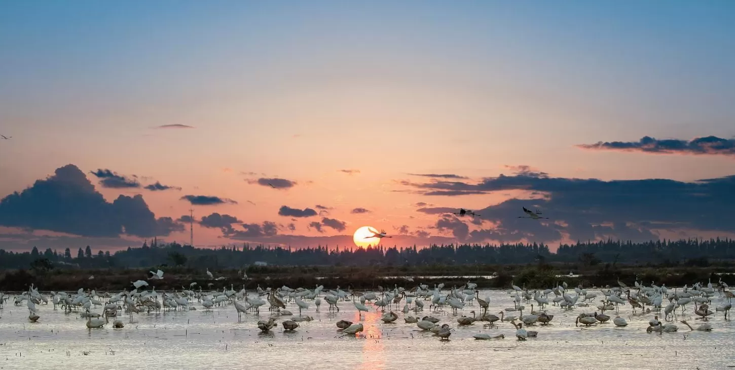 “红色热土”江西的绿色转身-第1张图片-