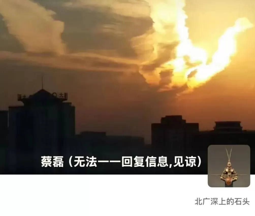 蔡磊：将公开患者治疗的“震撼效果”-第4张图片-