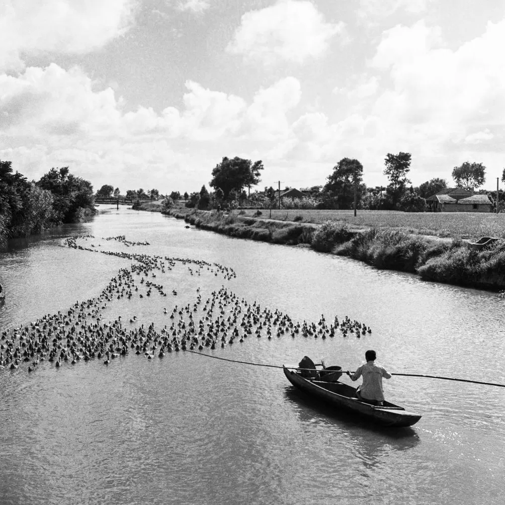 上海相册③｜大地，江河-第3张图片-