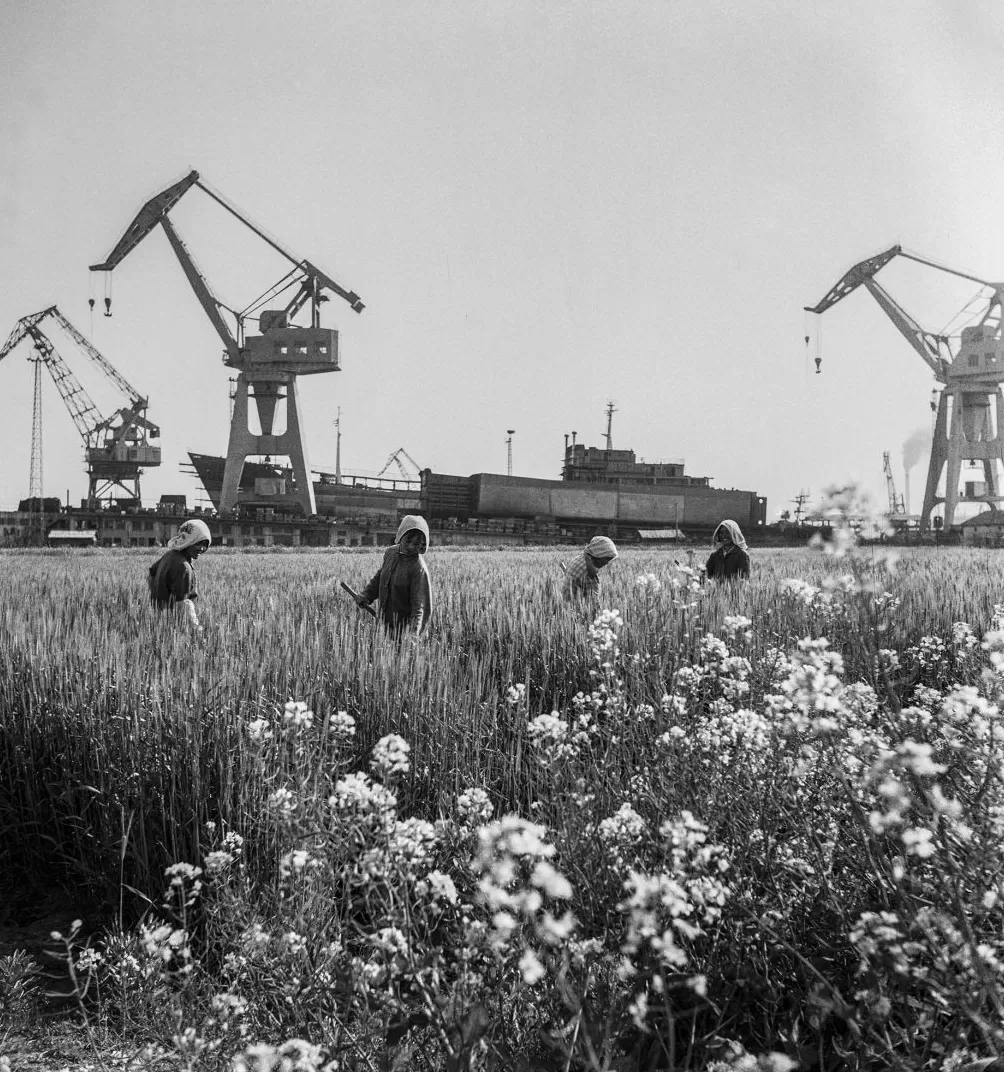 上海相册③｜大地，江河-第7张图片-