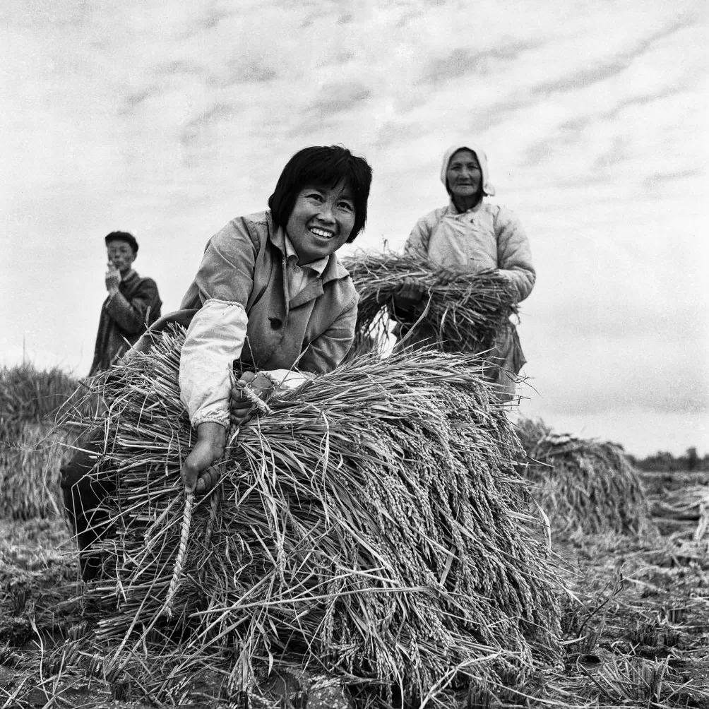 上海相册③｜大地，江河-第8张图片-