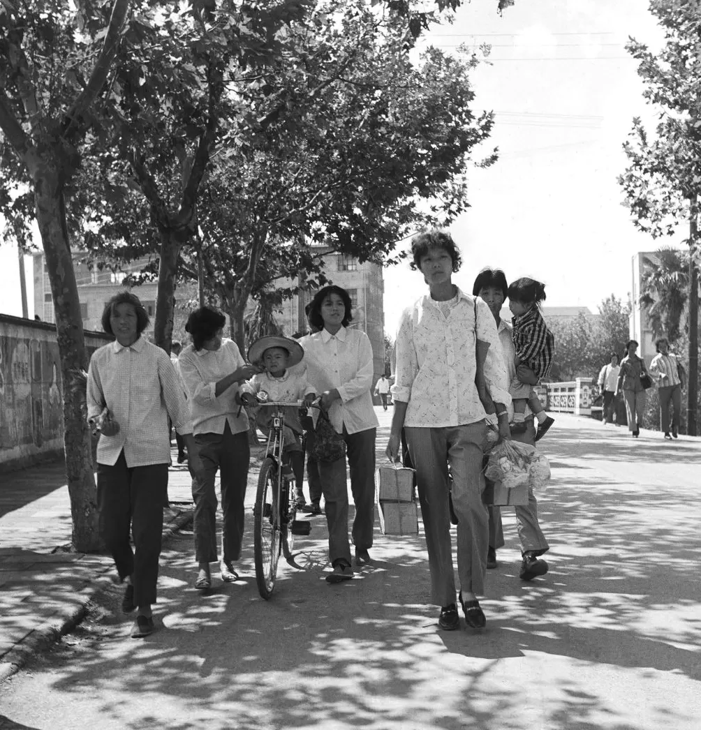 上海相册③｜大地，江河-第19张图片-