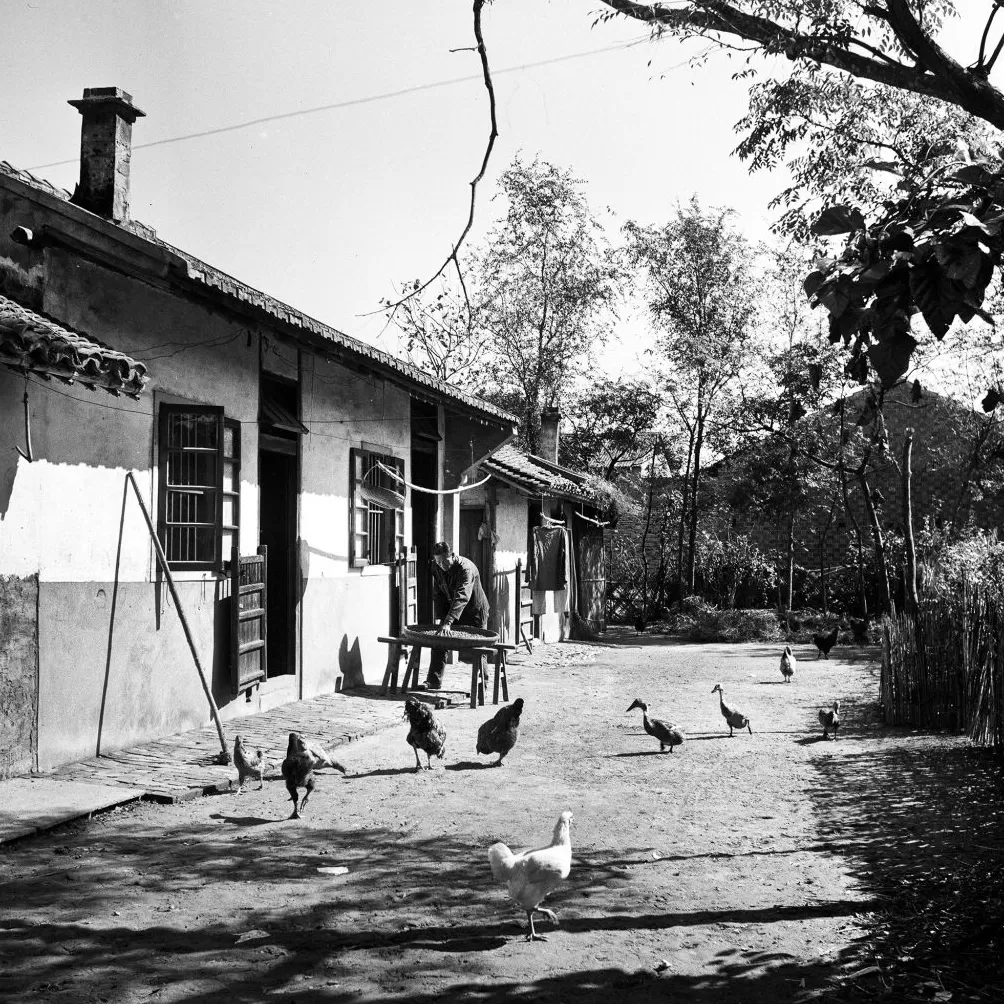 上海相册③｜大地，江河-第20张图片-