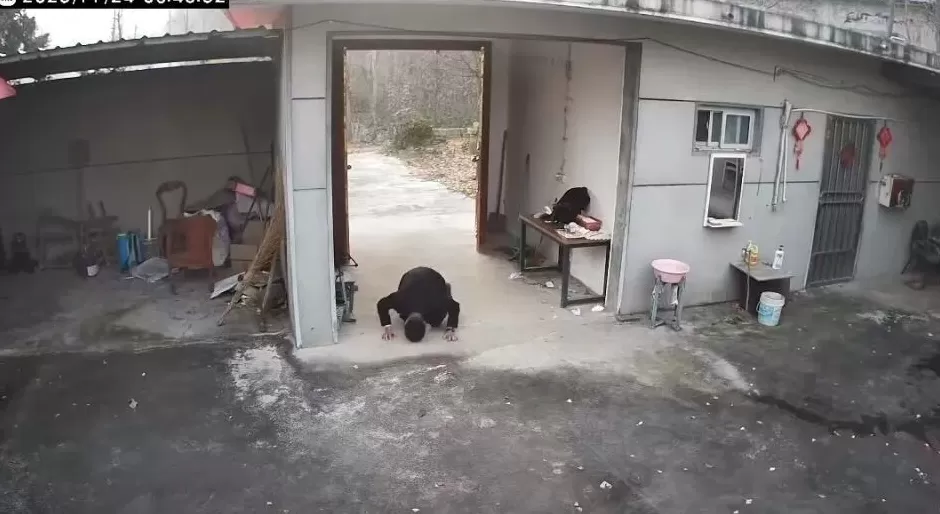 马上评｜80后男子跪别老宅，为何戳中人们的泪点-第1张图片-