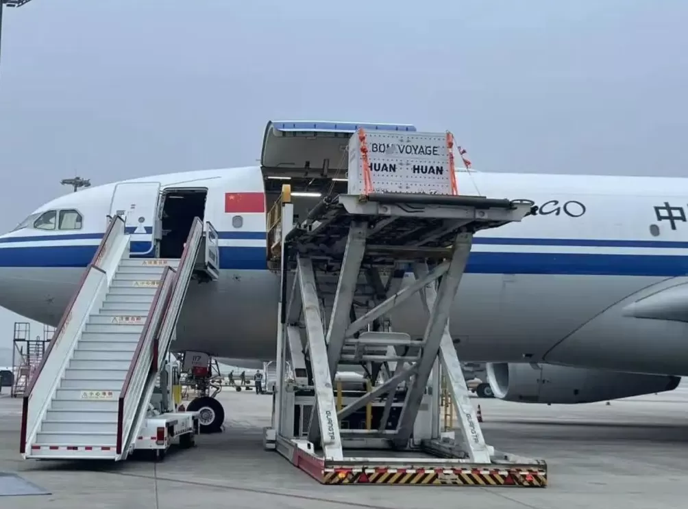 第1现场｜13年旅法生涯画句点，“欢欢”“圆仔”荣耀归来-第1张图片-