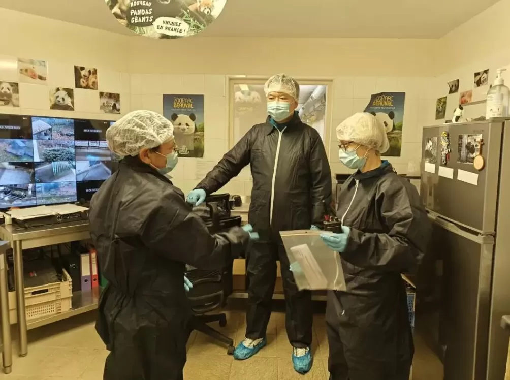 第1现场｜13年旅法生涯画句点，“欢欢”“圆仔”荣耀归来-第3张图片-