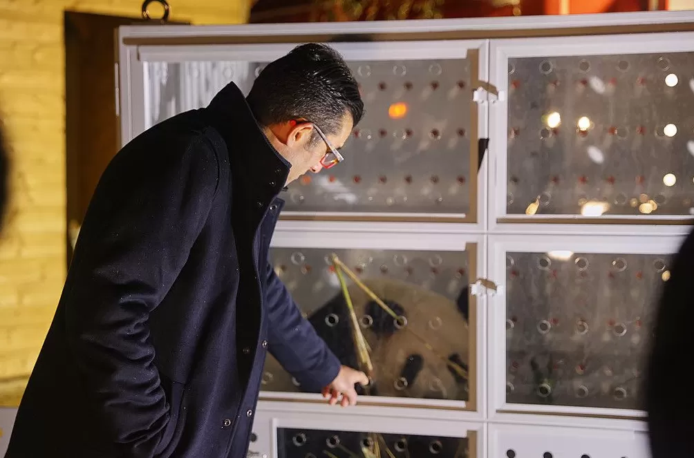 第1现场｜13年旅法生涯画句点，“欢欢”“圆仔”荣耀归来-第6张图片-