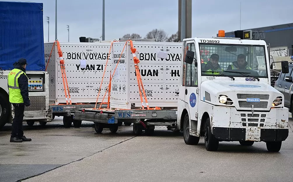 第1现场｜13年旅法生涯画句点，“欢欢”“圆仔”荣耀归来-第7张图片-