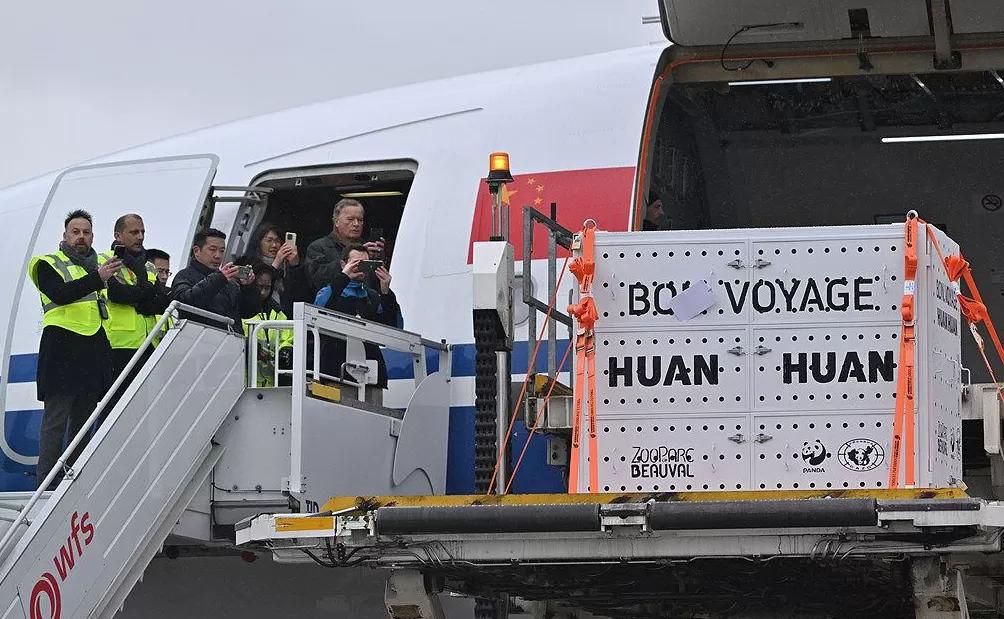 第1现场｜13年旅法生涯画句点，“欢欢”“圆仔”荣耀归来-第9张图片-