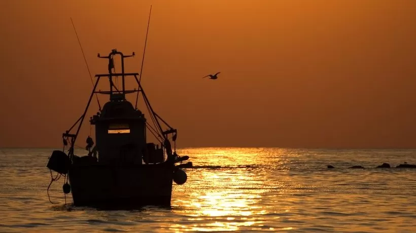 辽宁严查渔船倾覆背后腐败立案162人，营口一渔业局长见死不救被查-第1张图片-