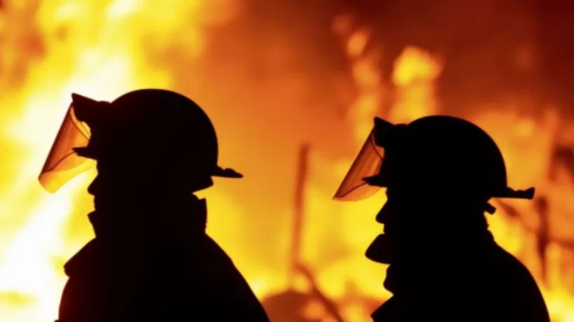 消防反腐连续“打虎”,云南森林消防多名前任高官被查-第1张图片- 消防反腐连续“打虎”,云南森林消防多名前任高官被查-第1张图片-