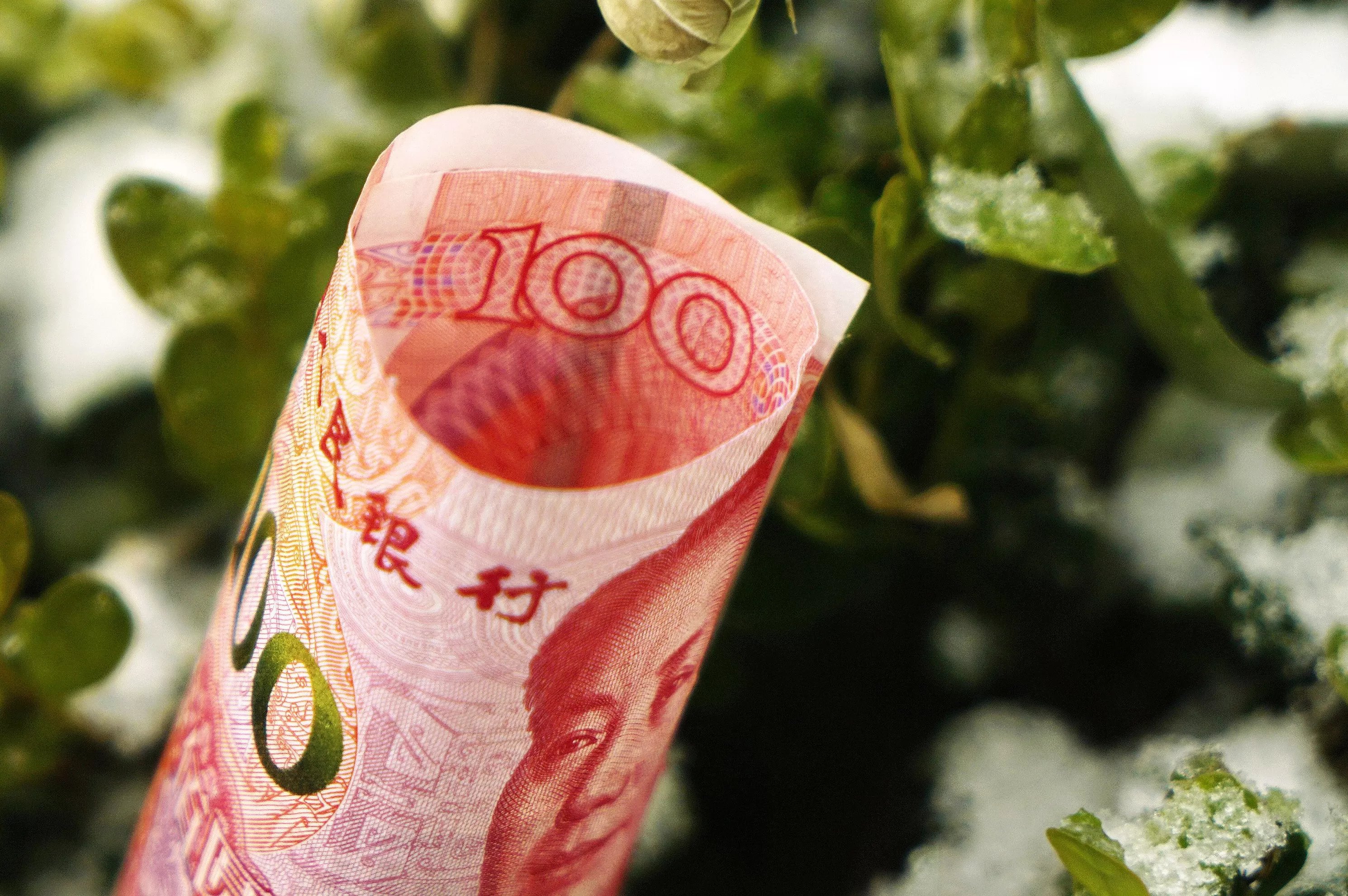 年化收益率逼近1%、“宝宝货基”规模反增,监管发文反“内卷”-第1张图片- 年化收益率逼近1%、“宝宝货基”规模反增,监管发文反“内卷”-第1张图片-